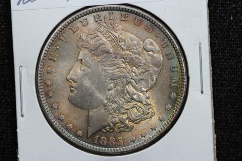 1885 Morgan Dollar Toned 1A2H