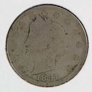 1891 Liberty Nickel G-4 2Y5G
